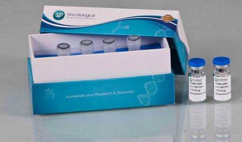 義翹神州以研發(fā)驅(qū)動業(yè)績快速成長,產(chǎn)品深受國際認可 需求旺盛